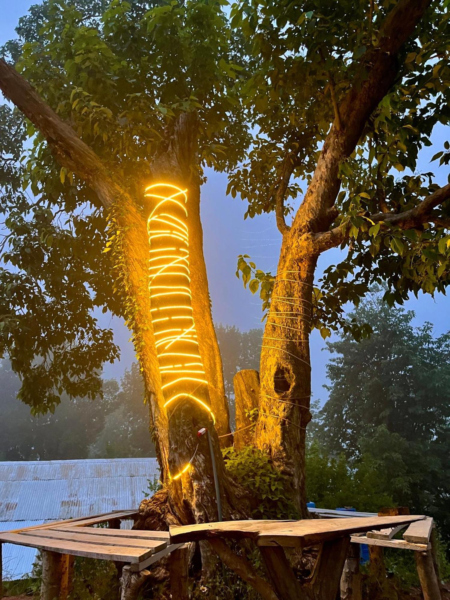 Misty Peaks Resort 무레 외부 사진